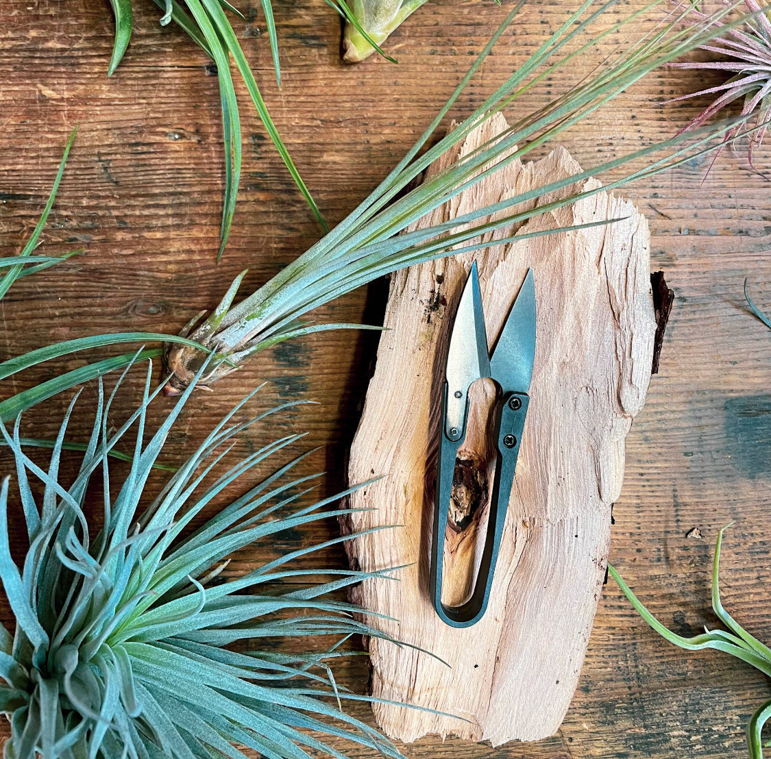 Herb Snips