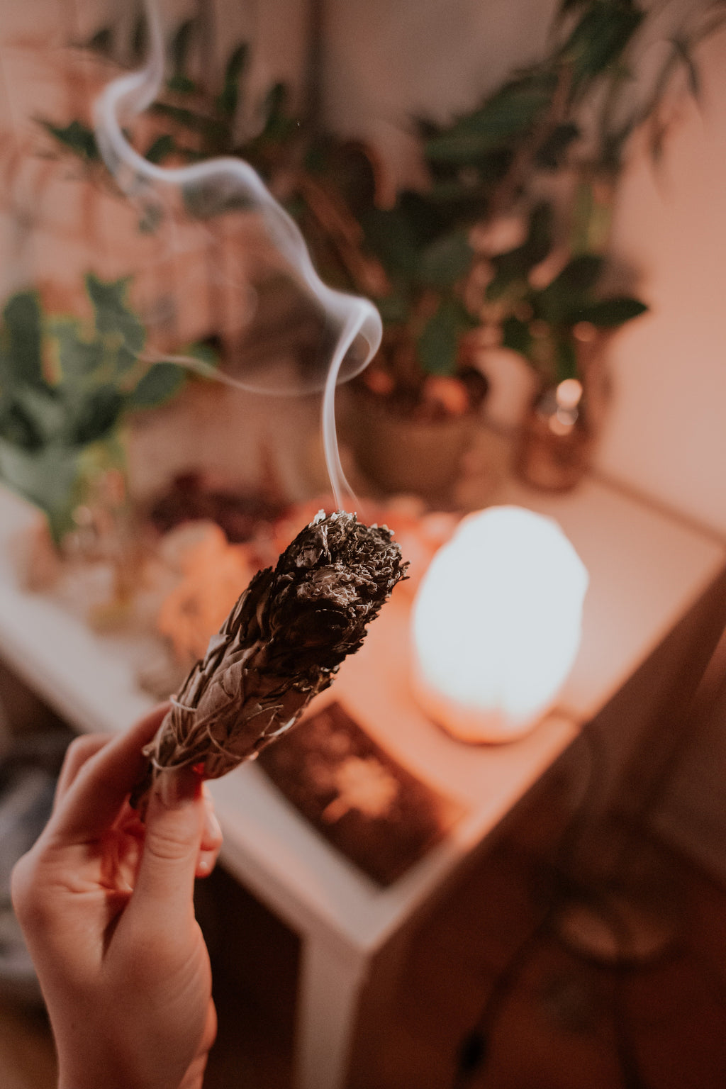 Sage Bundle